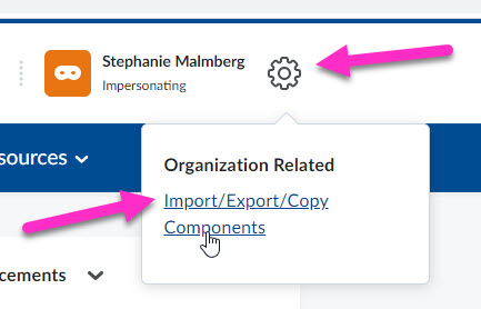 Arrow pointing to gear icon to import course