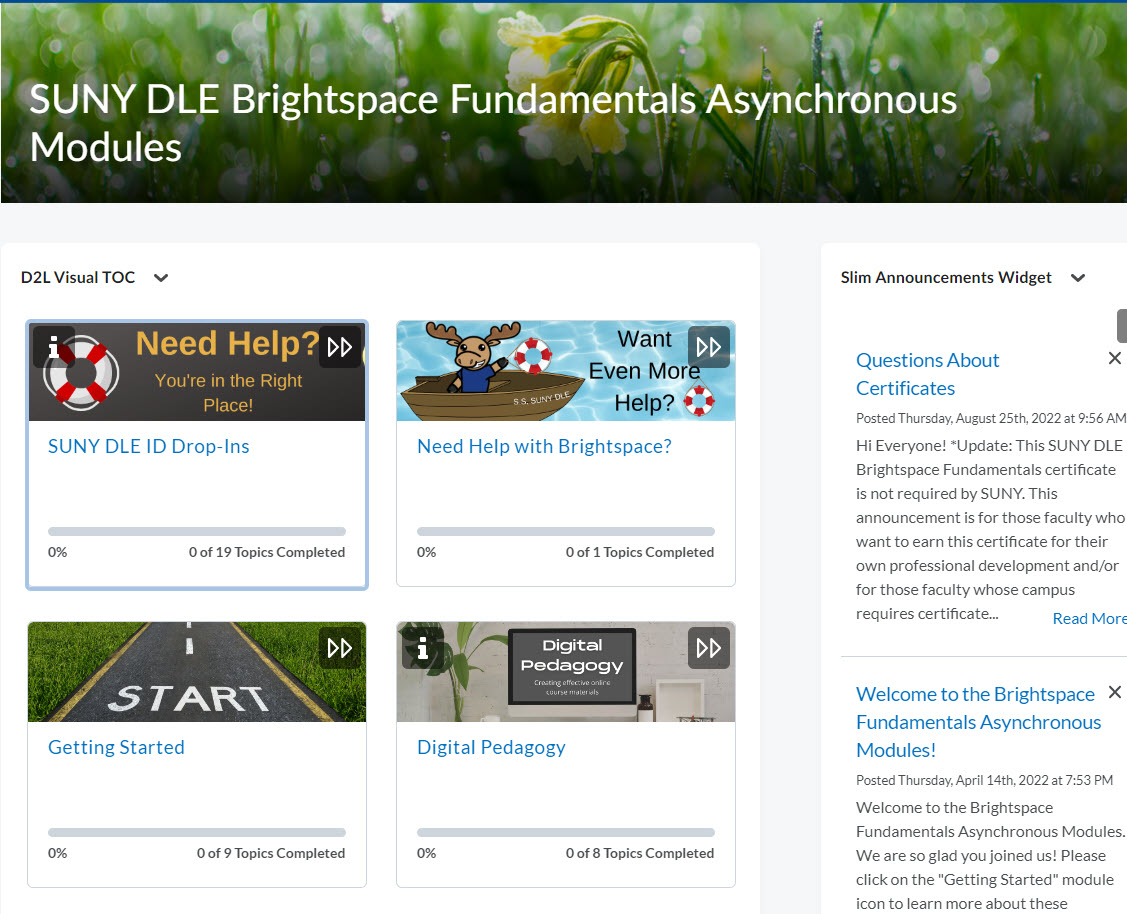 Brightspace Fundamentals Homepage