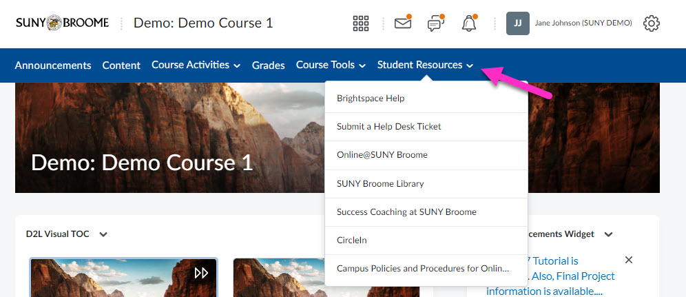 Arrow pointing to the Student Resources Link Group on the SUNY Broome Brightspace NavBar
