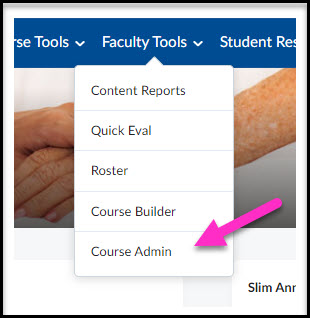 Link to the Course Admin area from the Faculty Tools tab